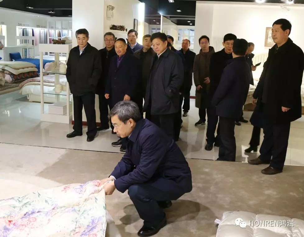 安徽省委常委、常務(wù)副省長鄧向陽到鴻潤視察